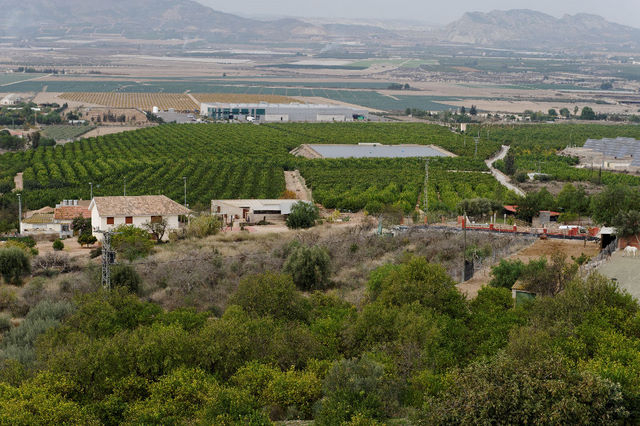 Outlying districts of Alhama de Murcia, El Cañarico