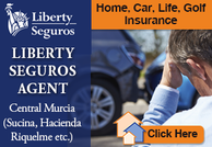 Murcia Property Services Liberty Seguros Agent
