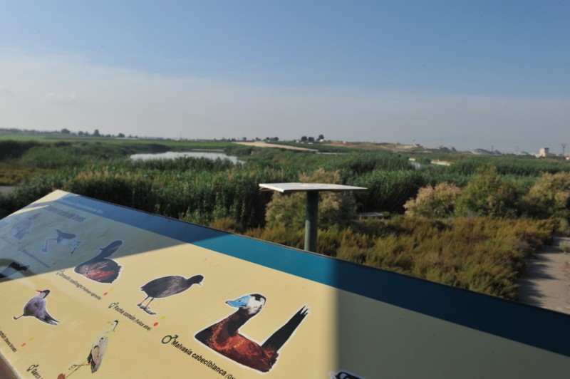 The protected wetlands of Lagunas de Campotejar in Molina de Segura