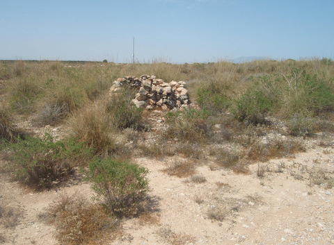 Flora and fauna in and around Sucina