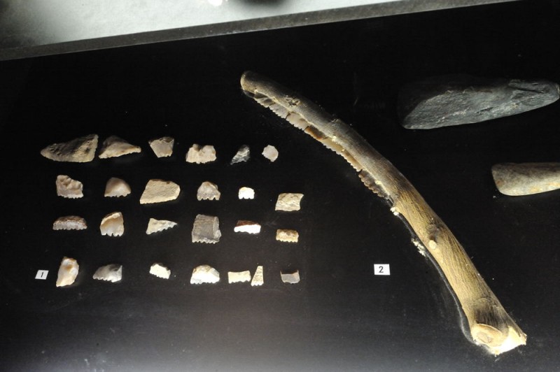 A history of Molina de Segura