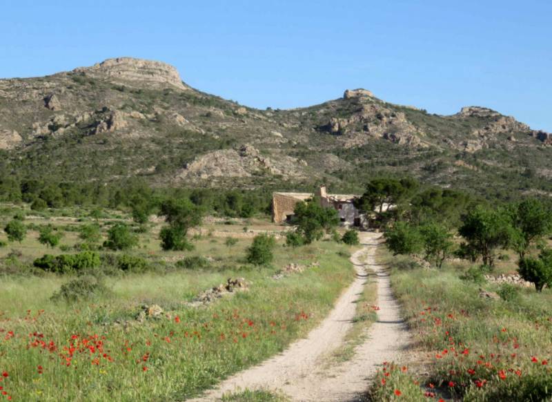 February 16 Free guided hike in the Sierra del Cuchillo in Yecla