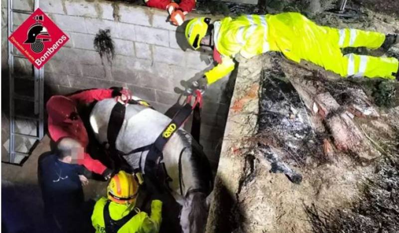 Pregnant horse pulled to safety after dramatic Alicante rescue