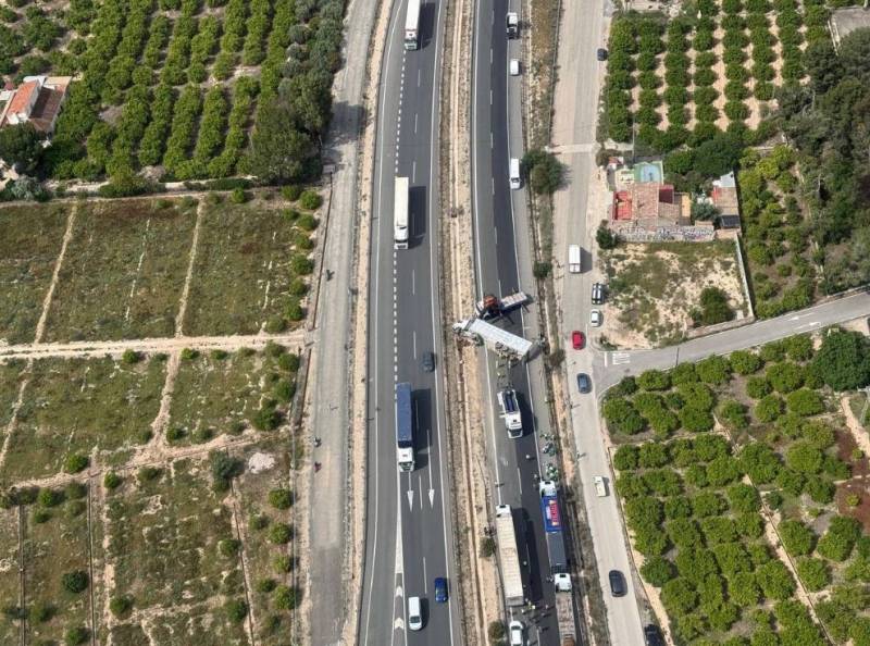 Lorry full of live pigs overturns on Murcia's A-7 dual carriageway