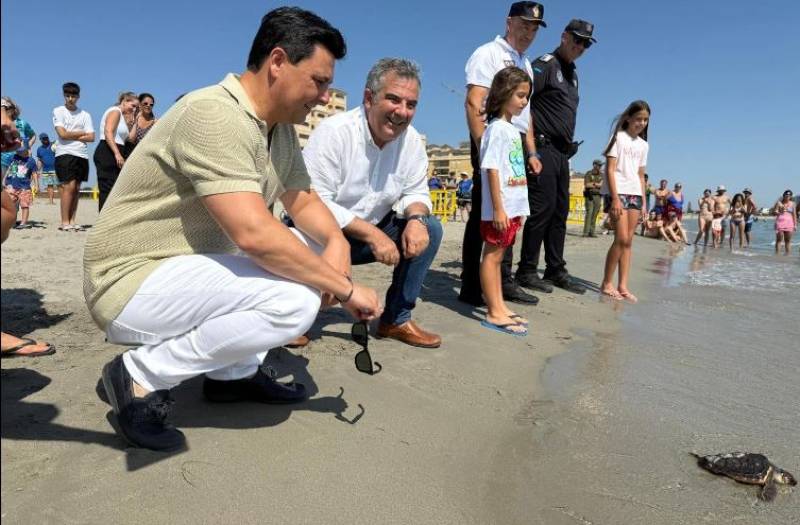 Thirty baby loggerhead turtles return to the sea at La Manga