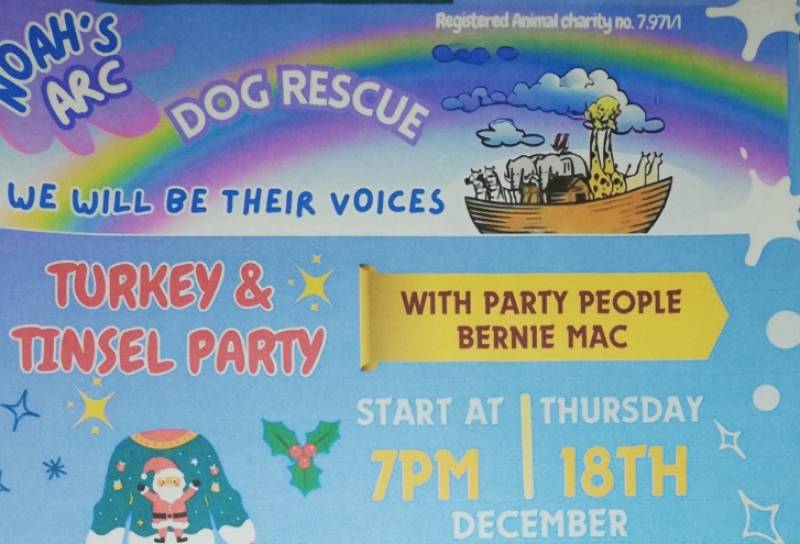 December 18 Turkey & Tinsel Party in support of Noah's ARC animal rescue