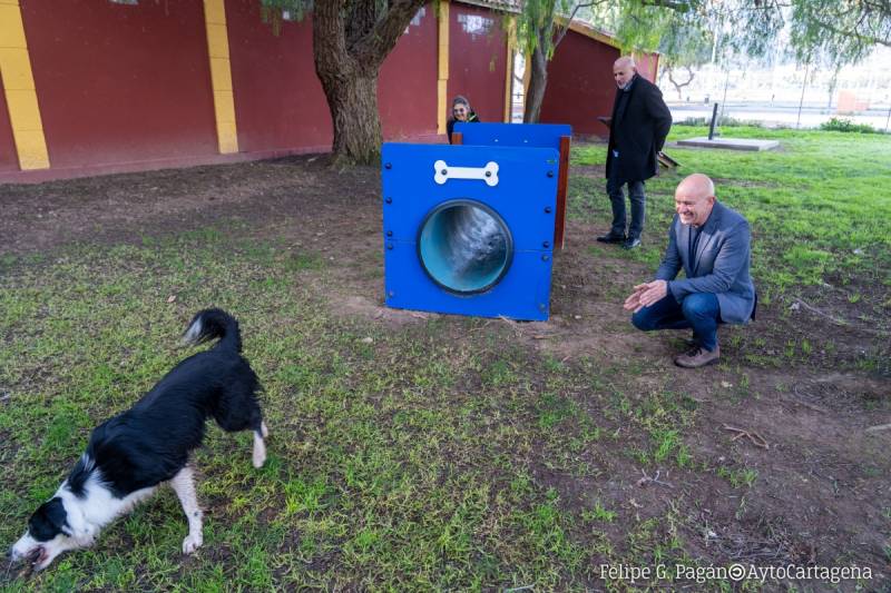 Cartagena's dogs get a new park by the stadium
