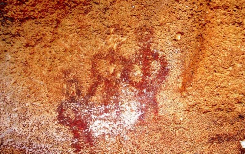 April 26 Free guided walk in the Sierra de la Pedrera in Jumilla