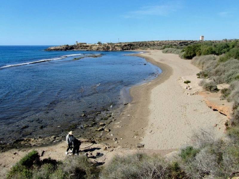June 14 Free guided walk on the Cocedores Blue Trail in Águilas
