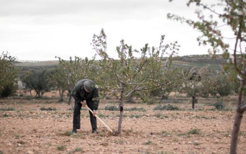 Southern Spain is becoming a desert. One company is using innovative organic farming techniques to turn that around (and make delicious almonds at the same time!)