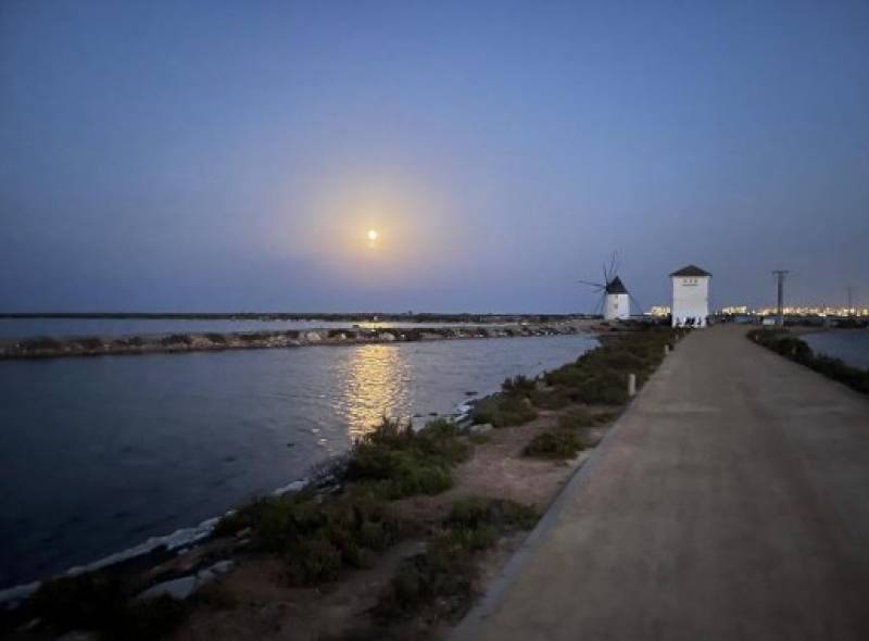 August 28 Free moonlight tour in the salt flats of San Pedro del Pinatar