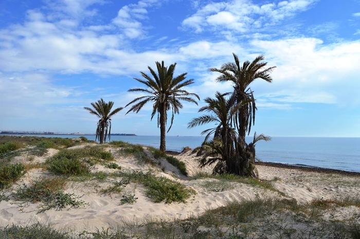 Overview of the beaches of San Pedro del Pinatar